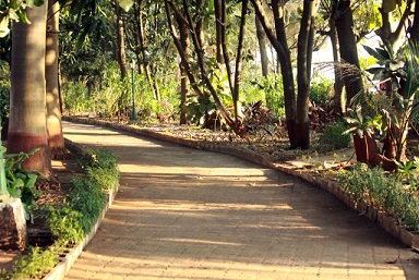 pathway